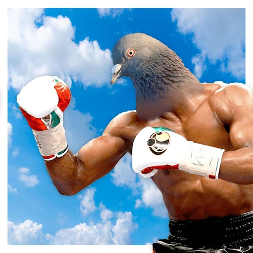 vjz73N-acrWxjvuk8LD4B