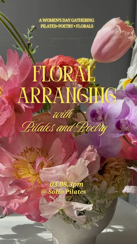 alQCTr9_zPWHuaD8xFopT