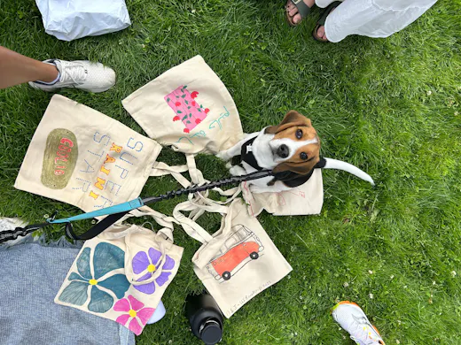 qoErF9VyFCMsUiXz9Sn6M