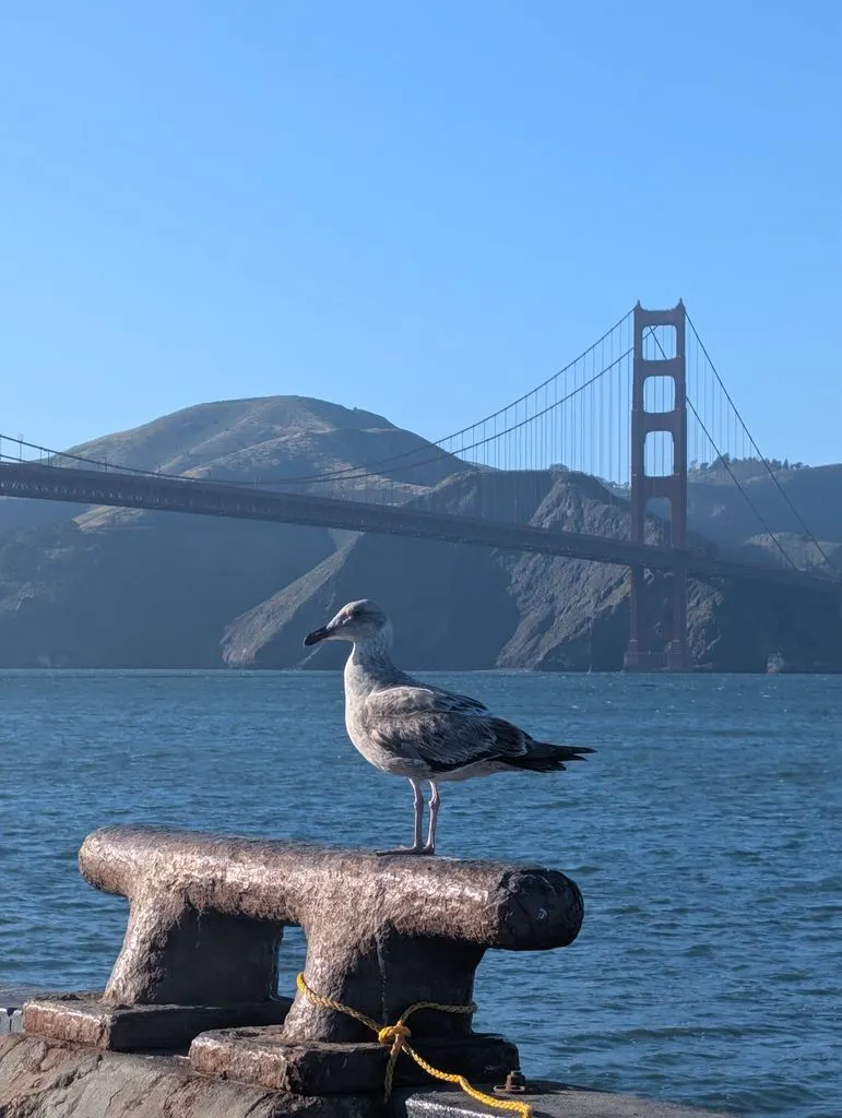 🌁 Presidio Nature Walk & Bioblitz 🌁