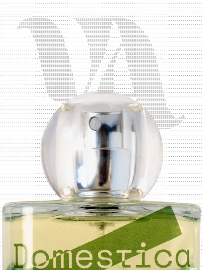 Tjd3jTPSrytbI2KCFHet2