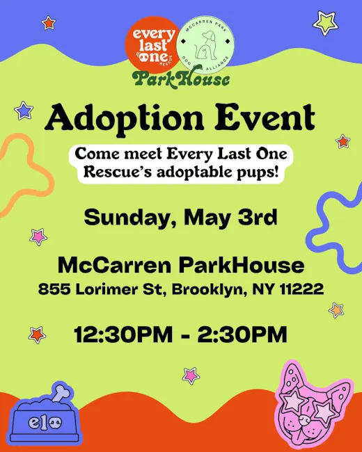 PO97aVnPW5zIwbzEATFaR