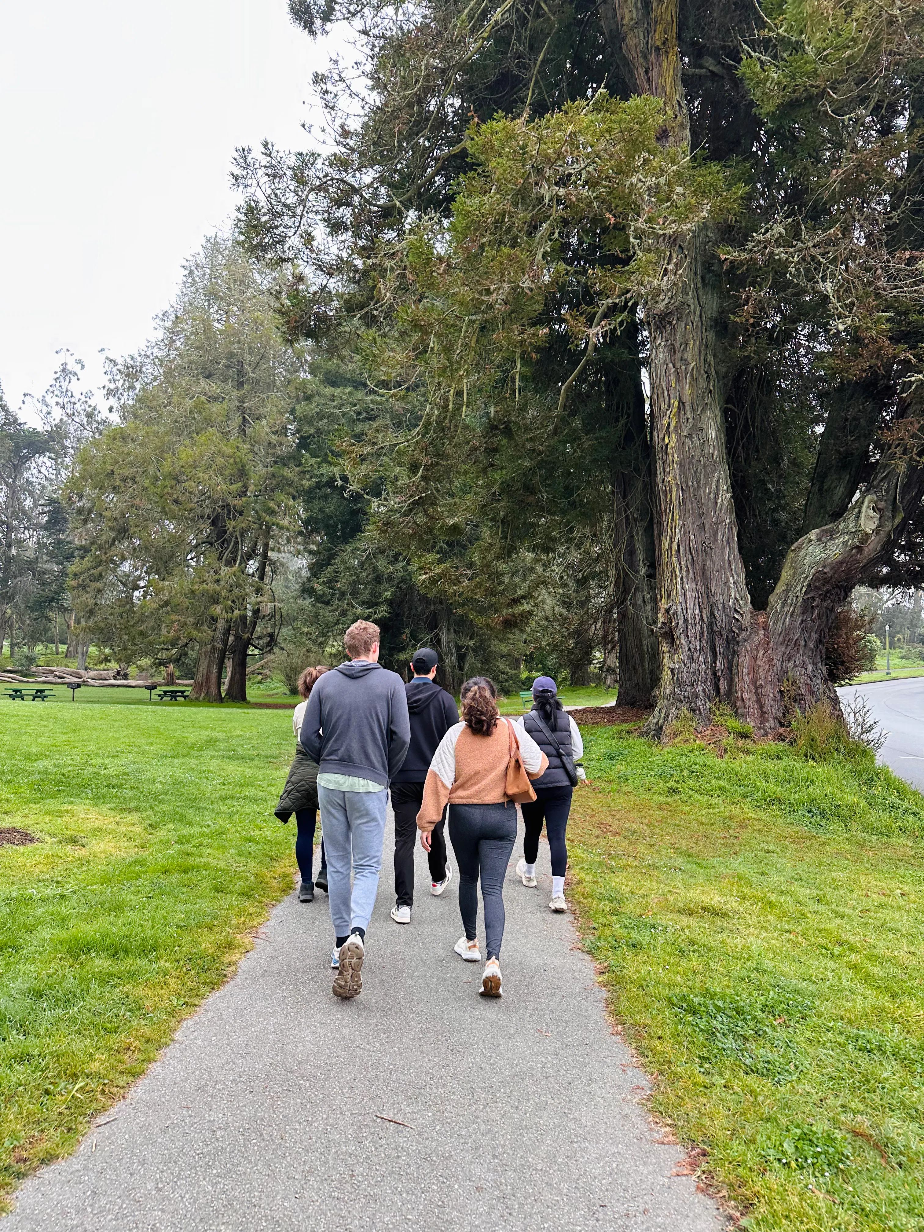 Sunset Neighborhood Walking Club