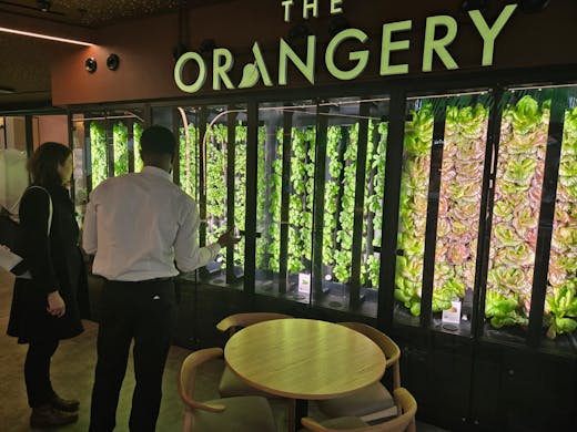 -lz1ITi5H1kiws5Z9N21h