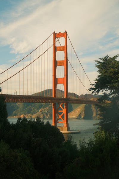 vmanDJOP7ylgUJQ89vFH6