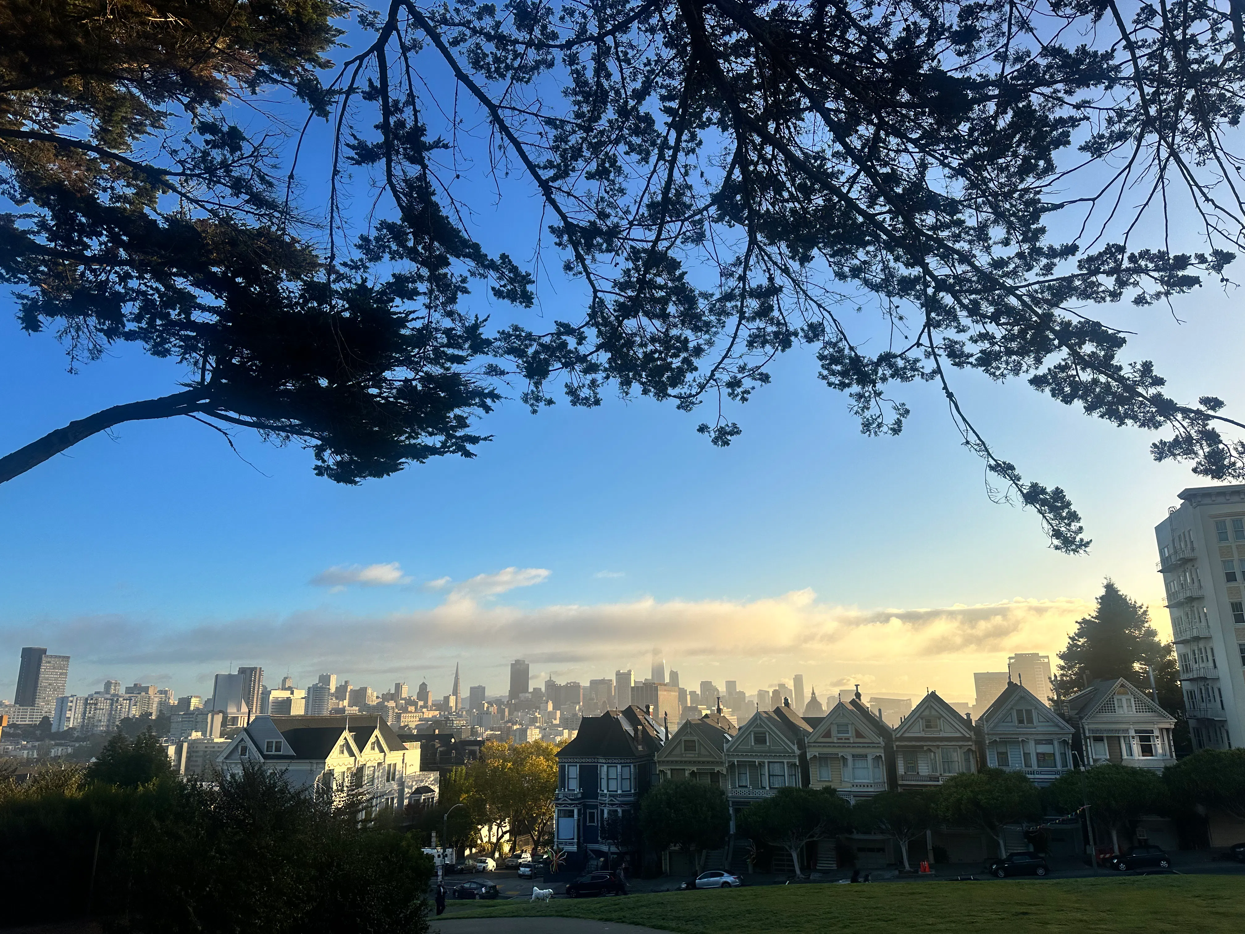 Morning Yoga at Alamo