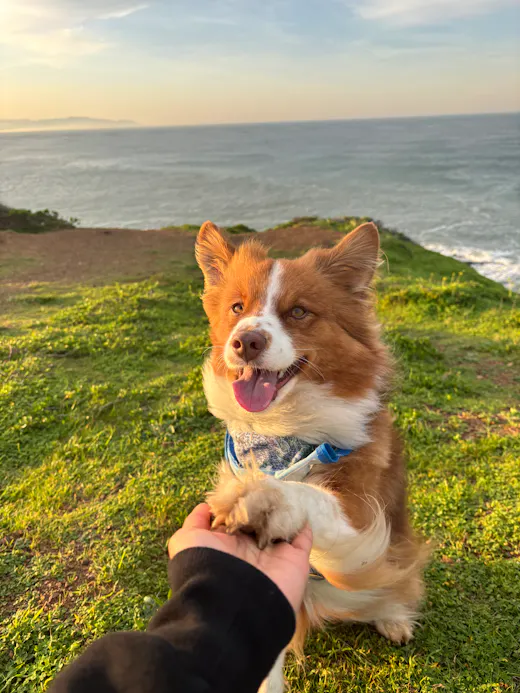 edyblDHpaopFw_JImF4yv