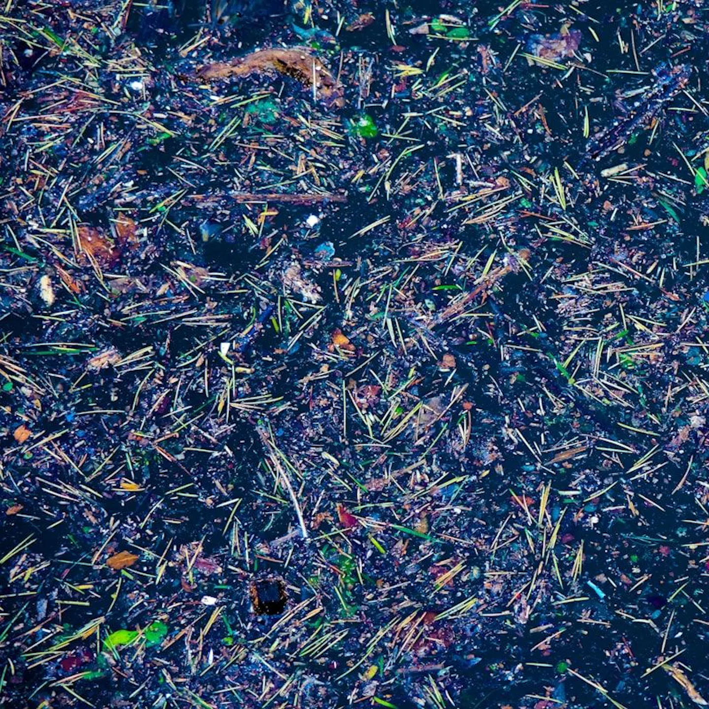 CS1WNyRv7v25WtLY6bs0s