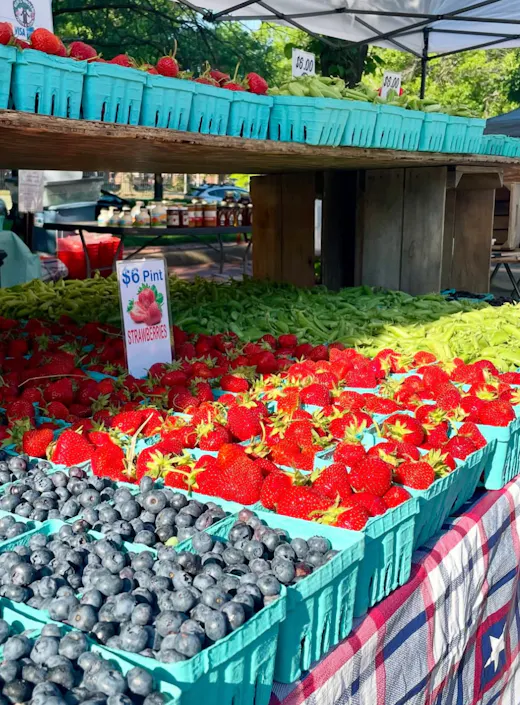 yZtd0nZuVqjswk3kLgaLd