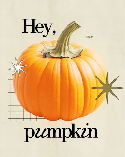 pKKd7MHJ9HZB2EvKY32ub