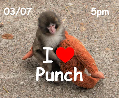 RLbk_aaf3j_ZHpzme8Lis