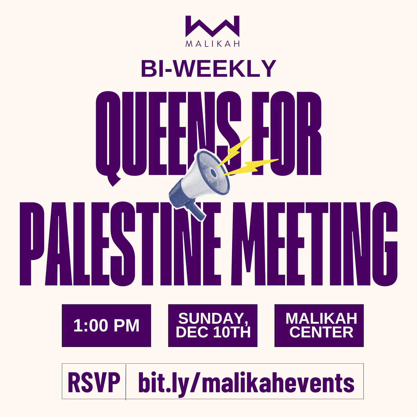 Townhall  - PalestineQueens Organizing  (5).png