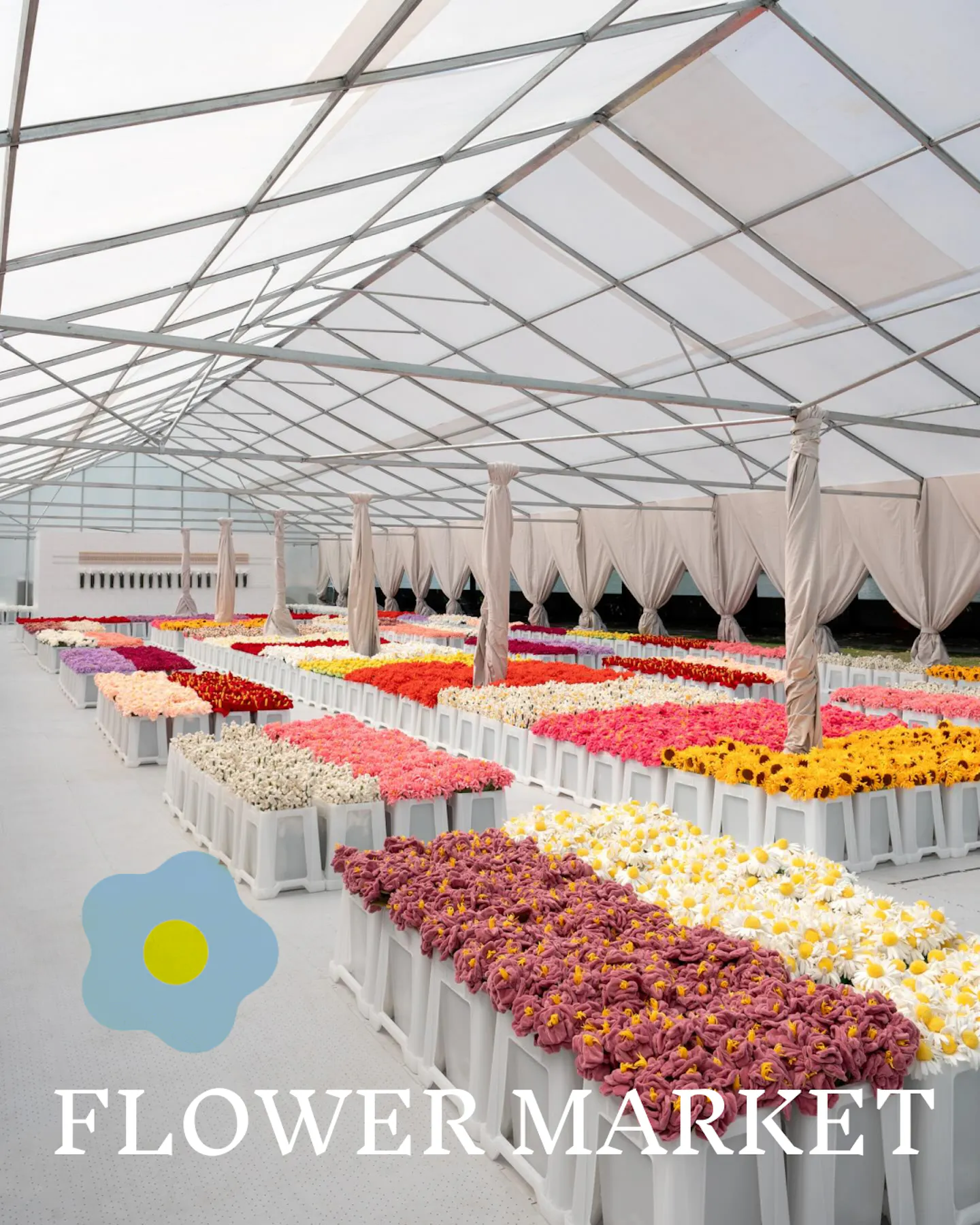 FLOWERMKT.png