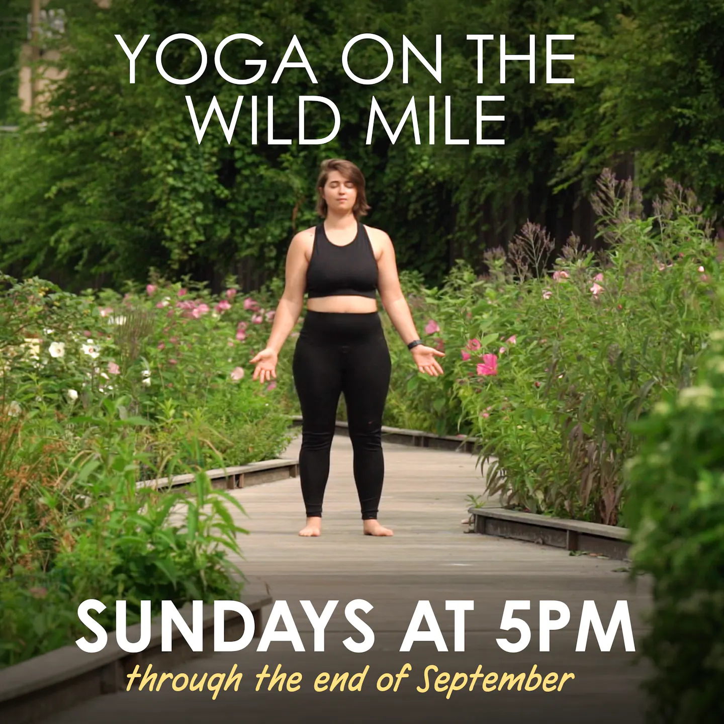 Yoga on the Wild Mile-3.png