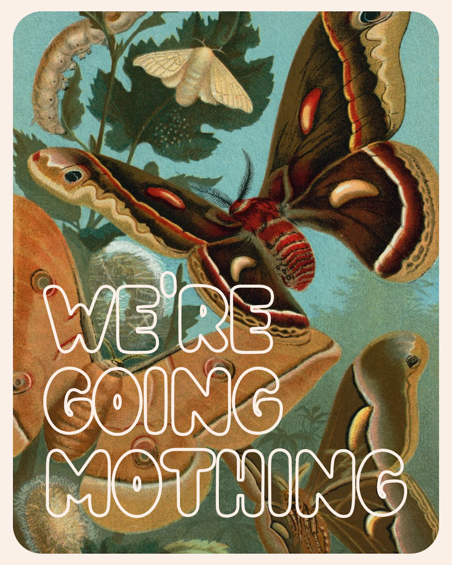 mothing.png