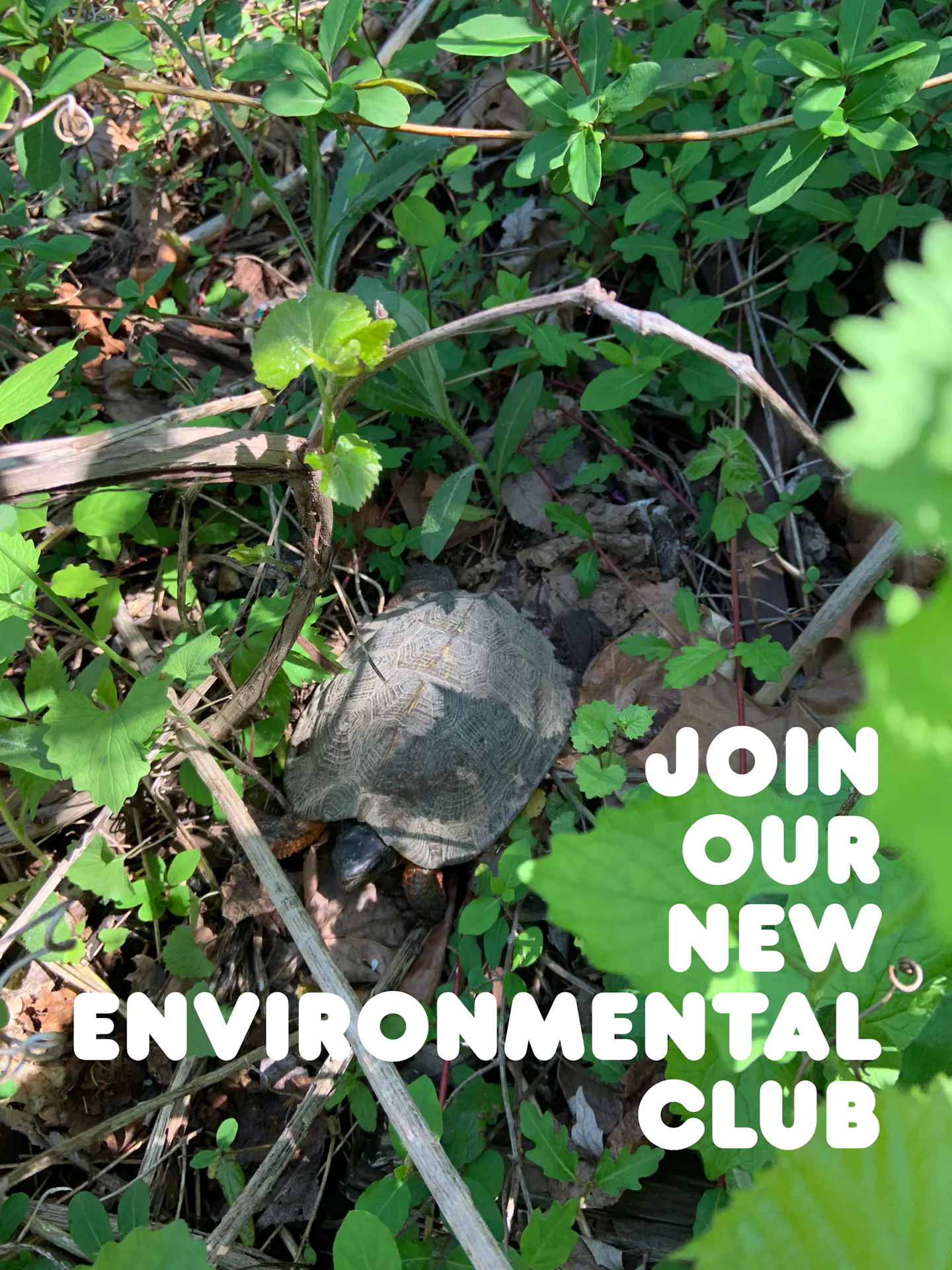 ENVIRONMENTAL CLUB.png