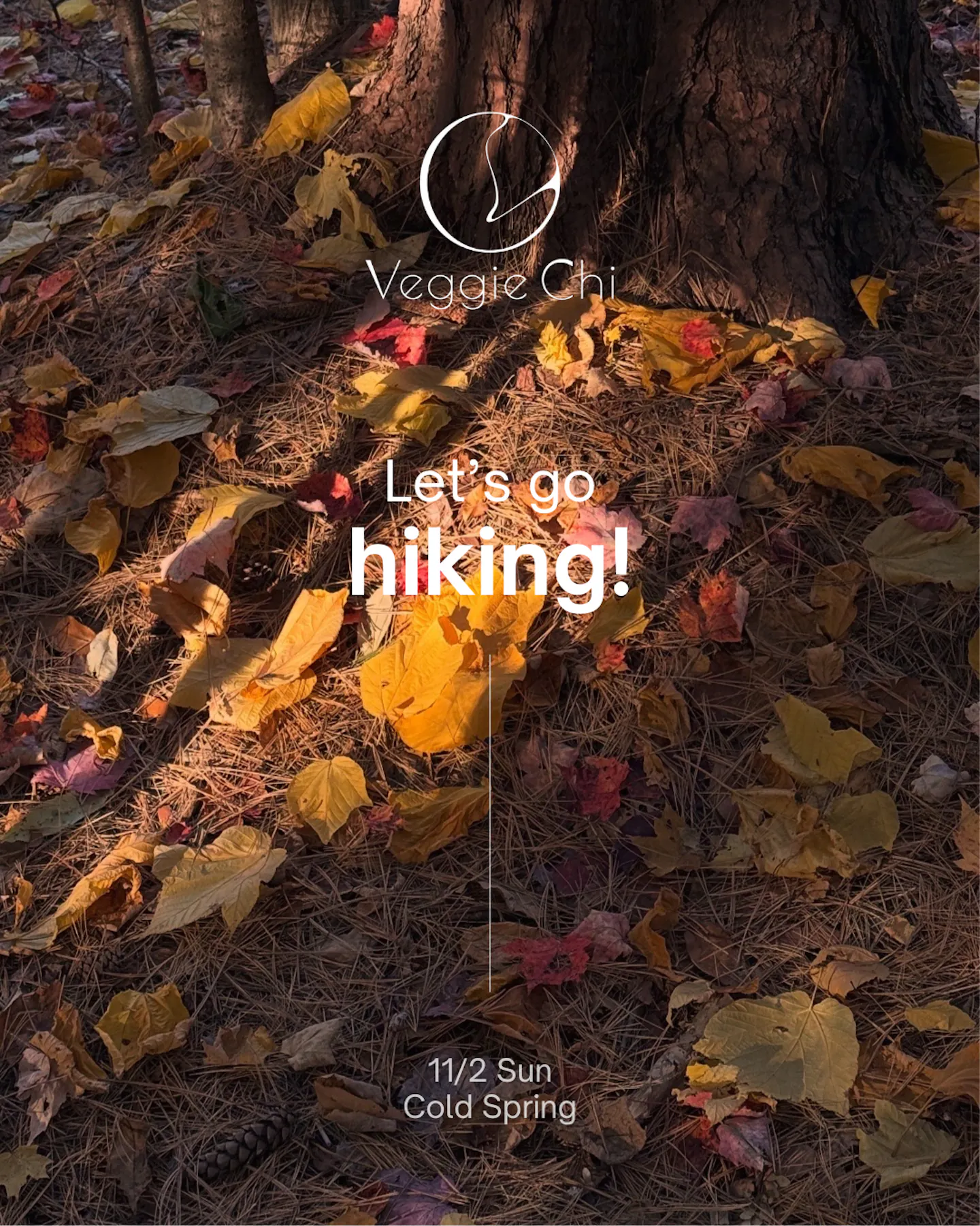 White Clean Let's Go Hiking Instagram Story (Instagram Post (45)).png.png