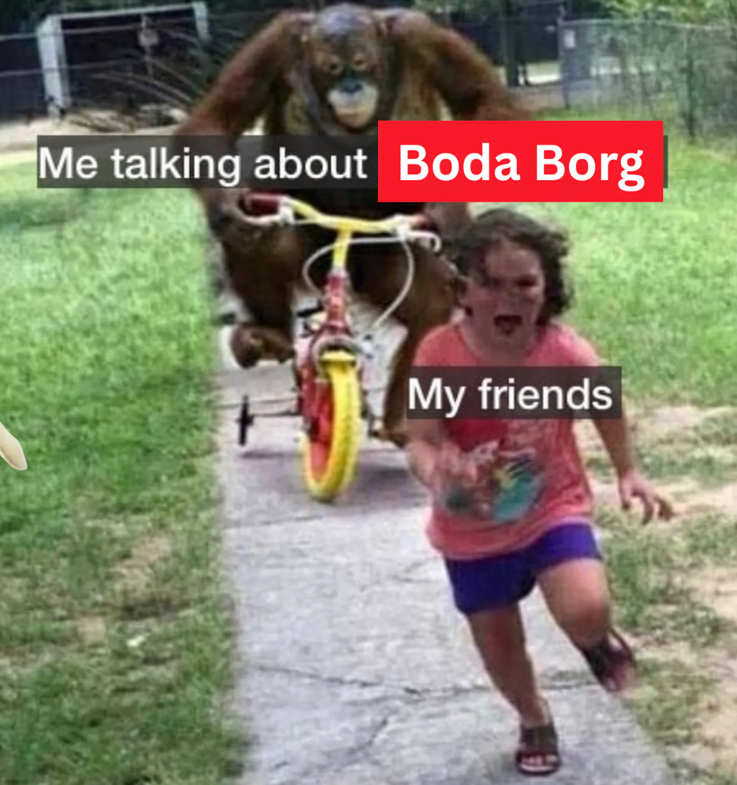 boda borg.png