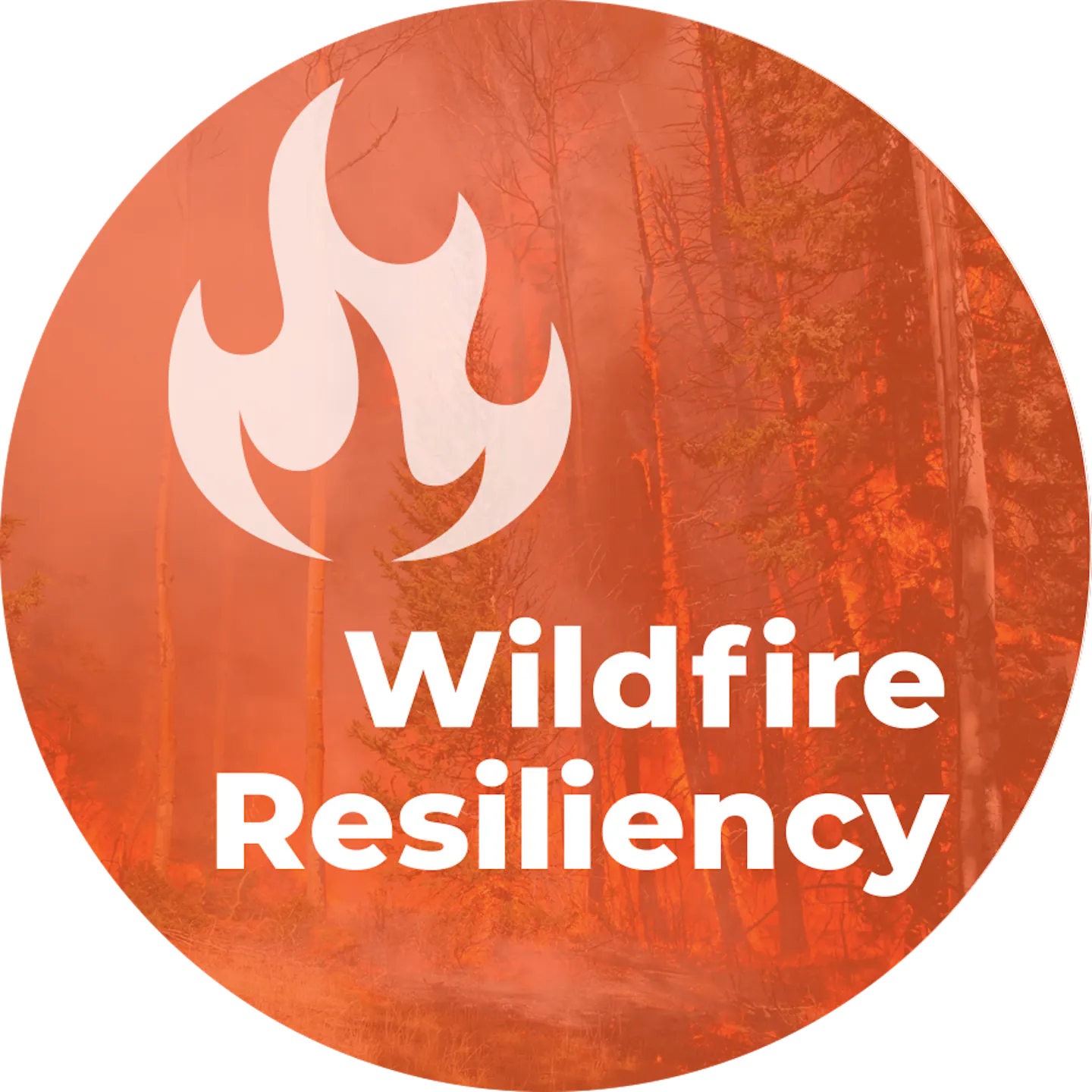 wildfire.png