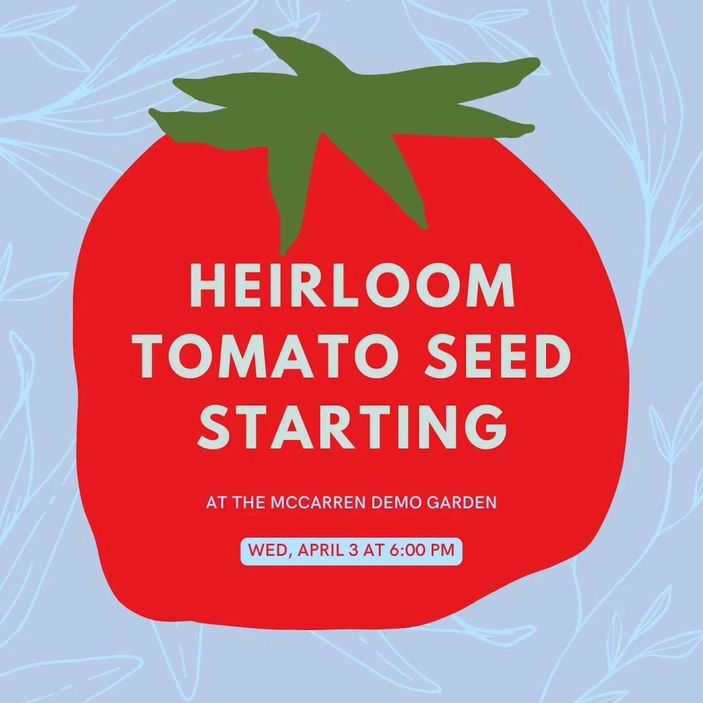 tomato.jpg