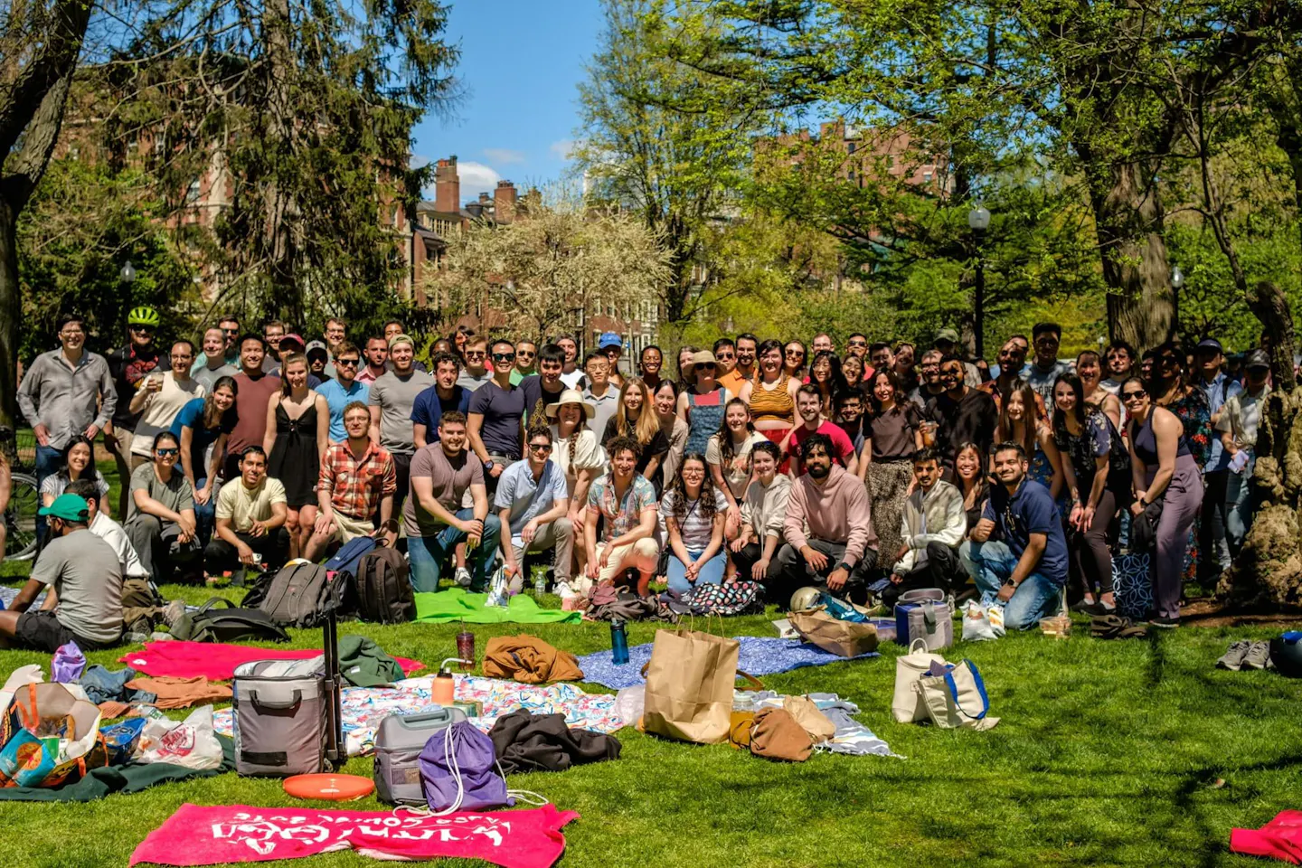 picnic.jpg