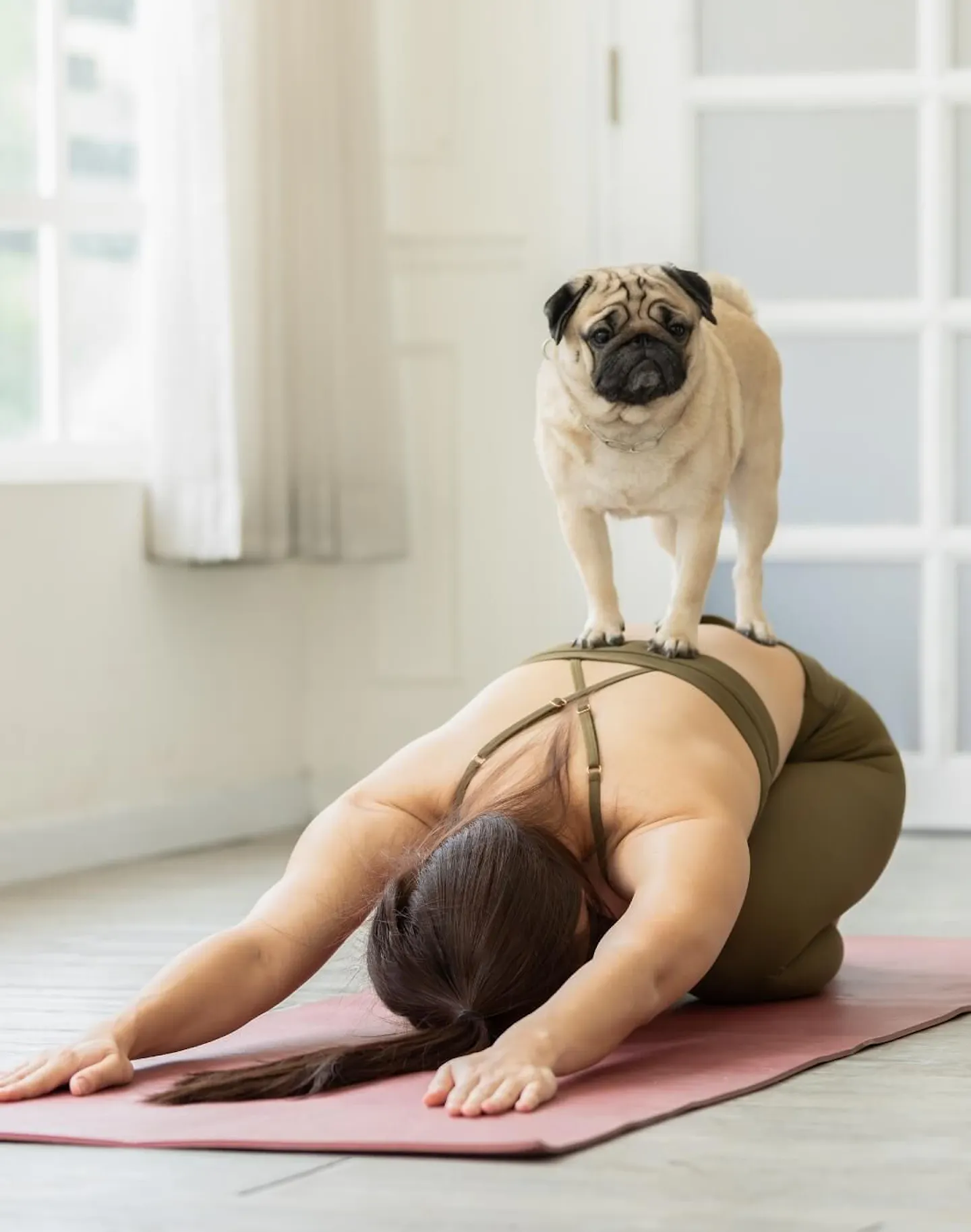 puppy yoga.jpg